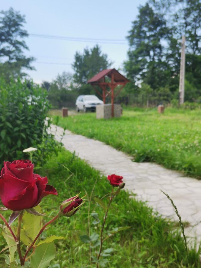 Casa Luca Ama Bran Villa Bran  Eksteriør bilde