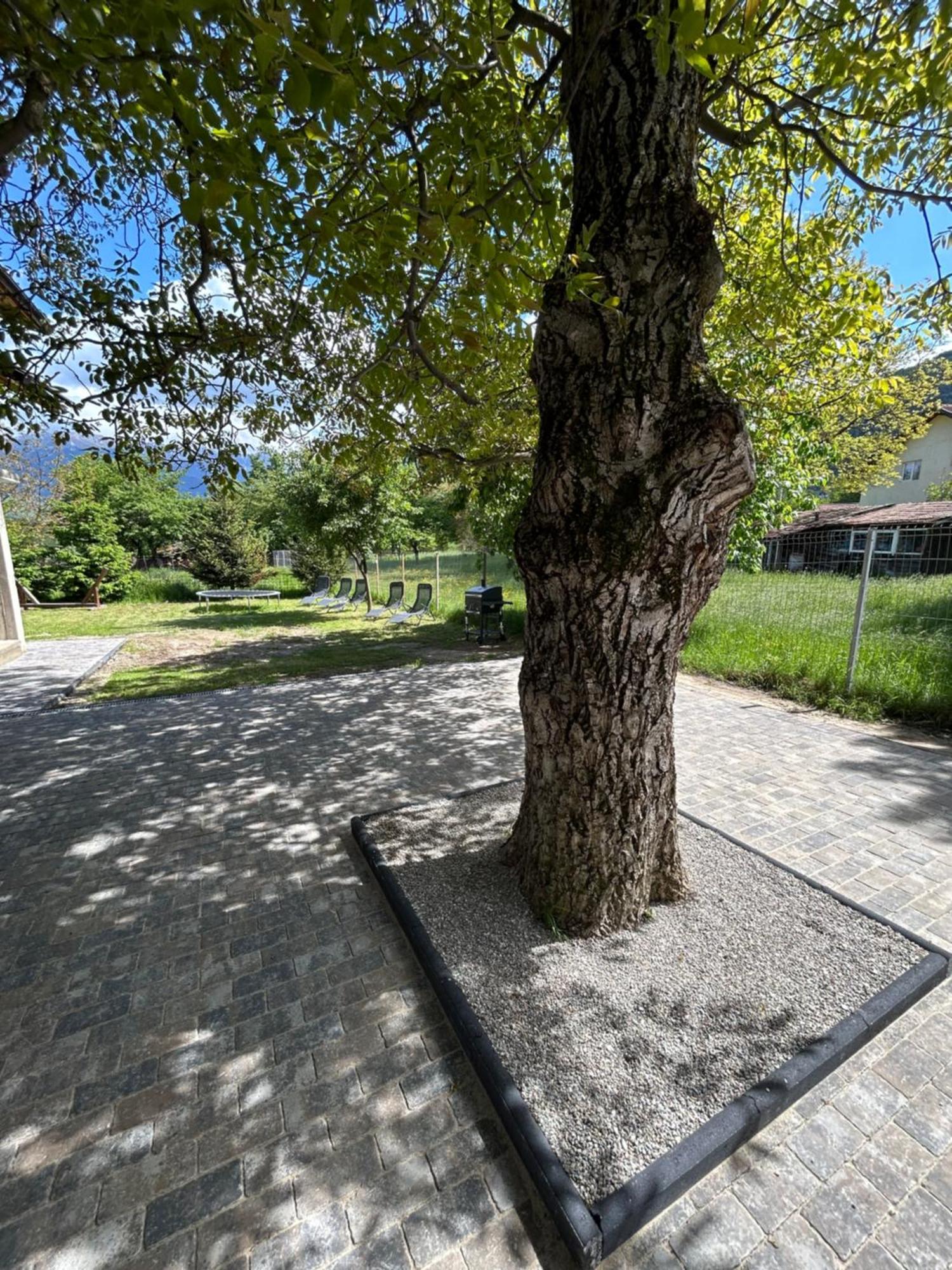Casa Luca Ama Bran Villa Bran  Eksteriør bilde