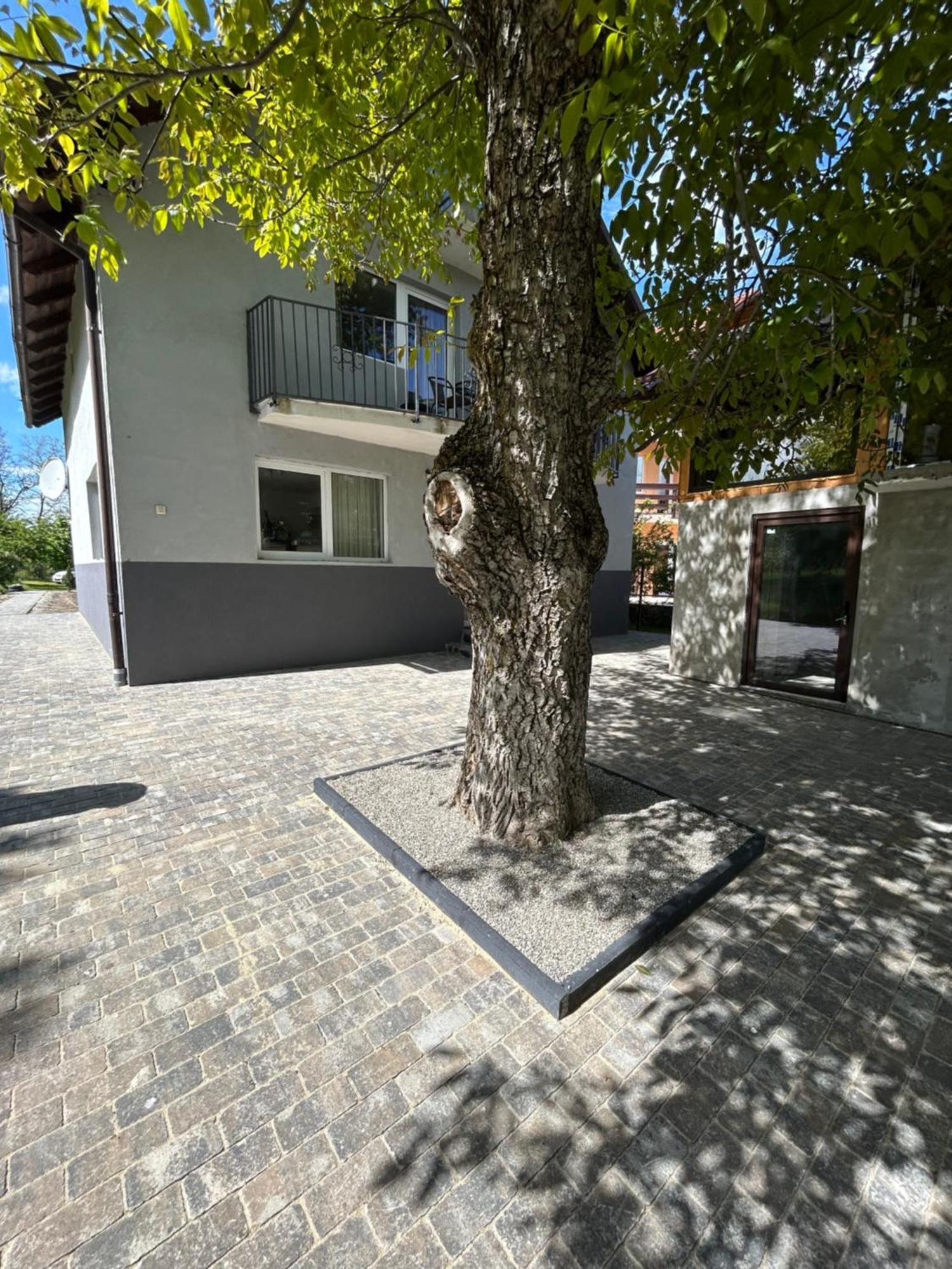 Casa Luca Ama Bran Villa Bran  Eksteriør bilde