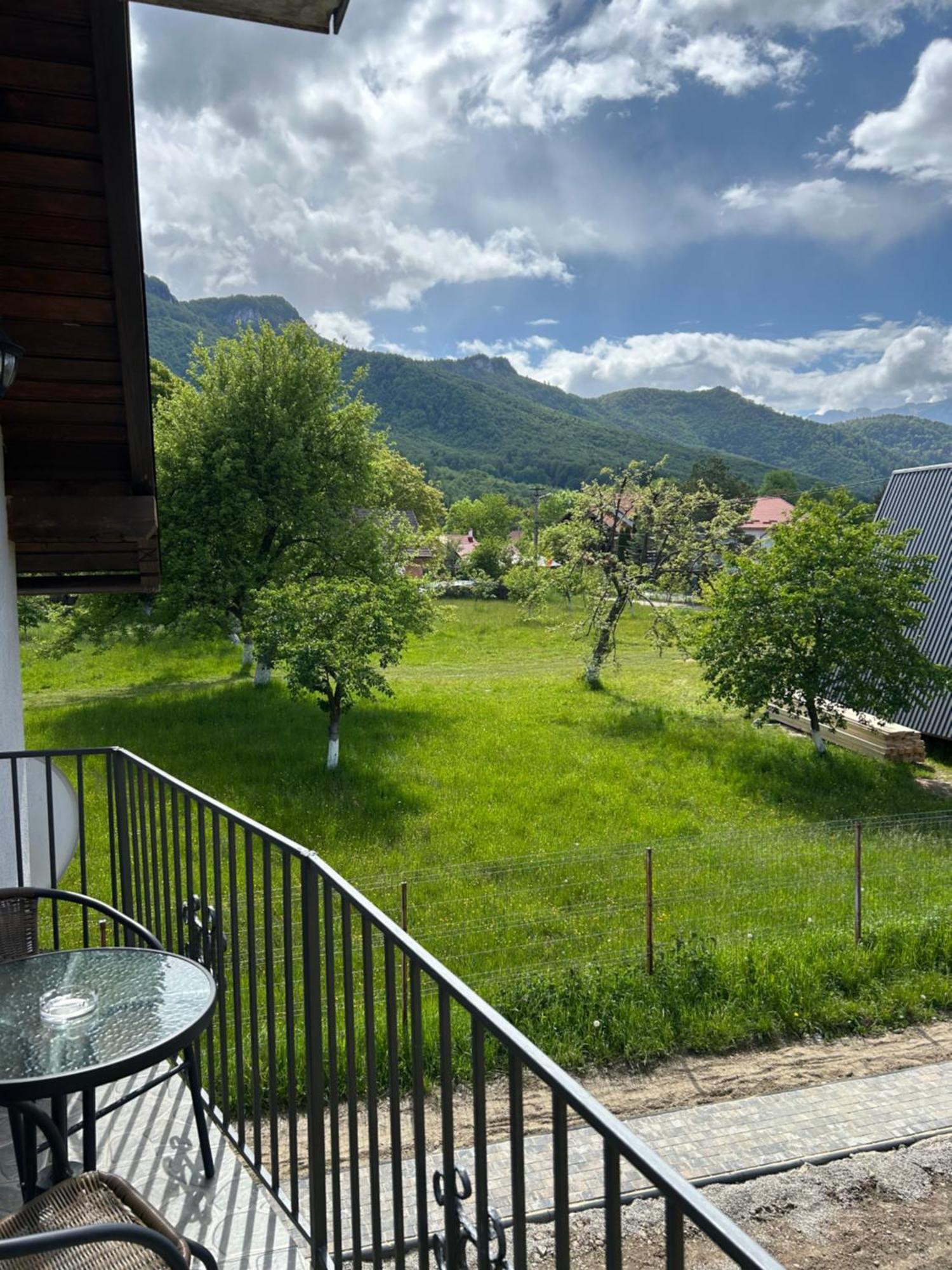 Casa Luca Ama Bran Villa Bran  Eksteriør bilde