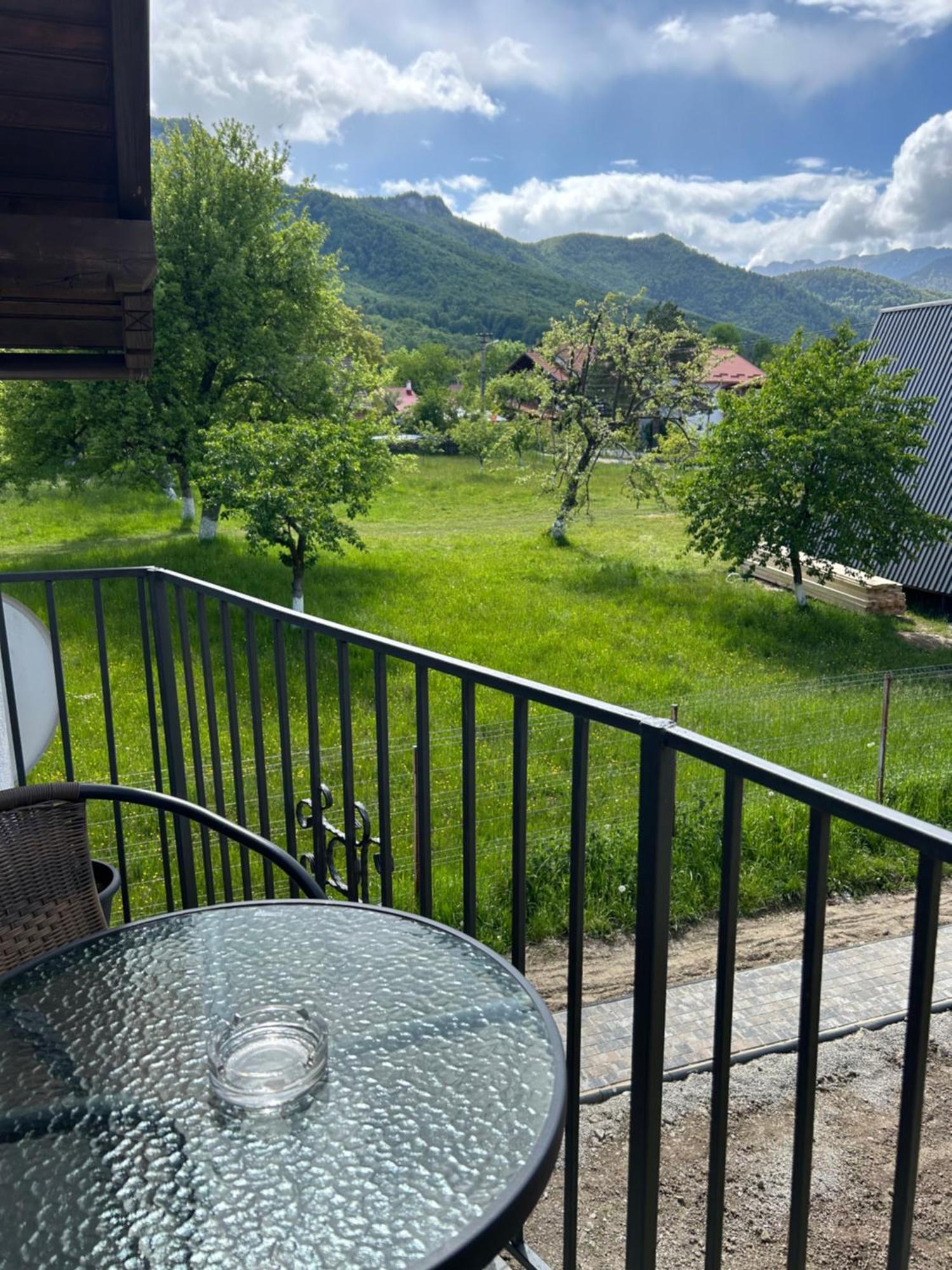 Casa Luca Ama Bran Villa Bran  Eksteriør bilde